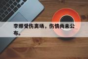 乐动网址-李娜受伤离场，伤情尚未公布。